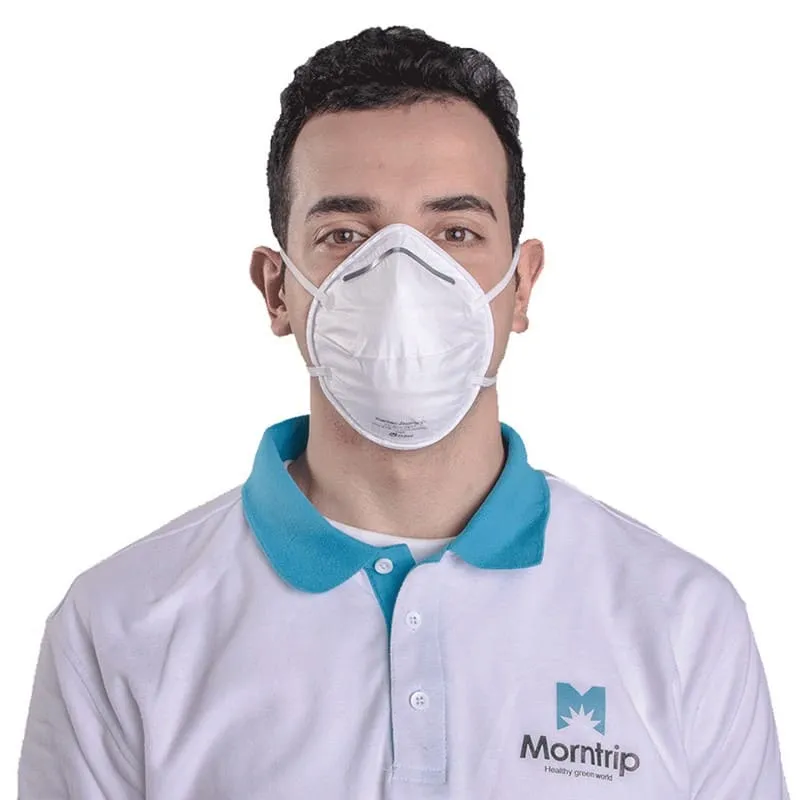 disposable N95 Mask